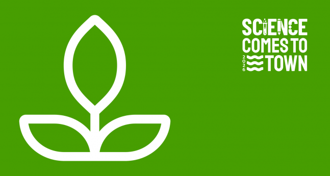 How Can We Supply Shipping with Renewable Energy?